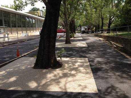 Permeable Paving ideas for Tree-Centric Gardens 